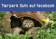 Tierpark Suhl auf facebook