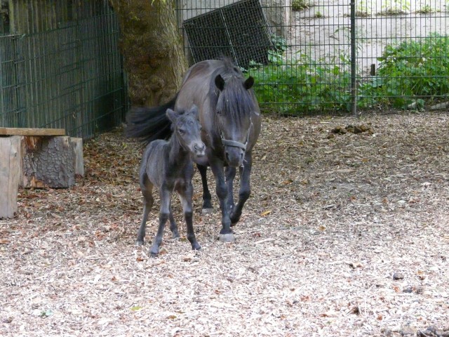 Lotte mit Lilly