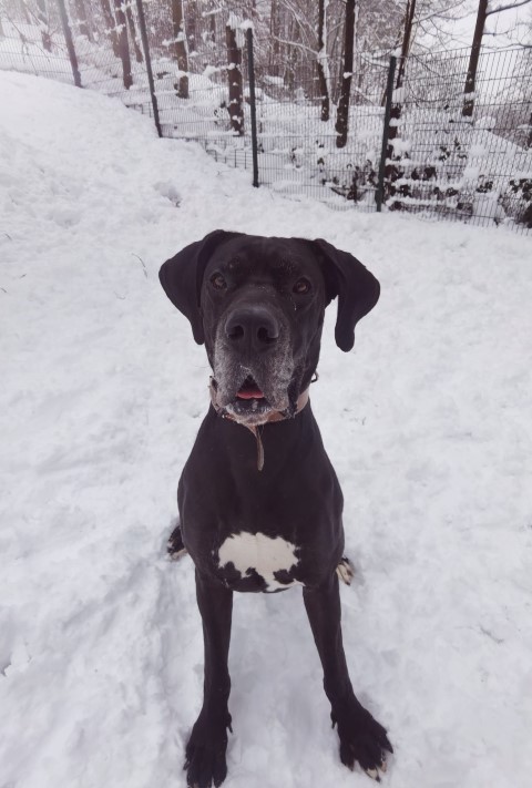 Ragnar