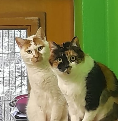 Paul und Emma