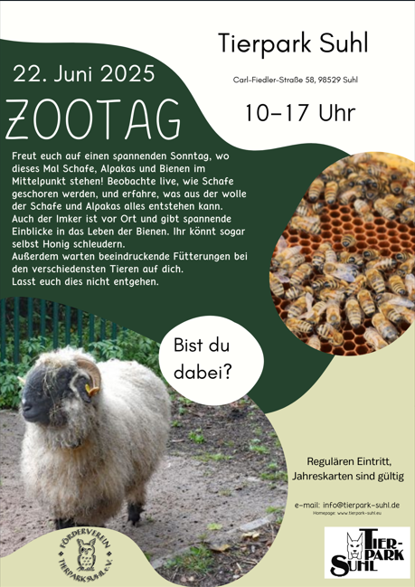Flyer1