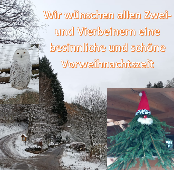 Vorweihnachtszeit